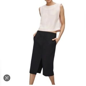 Aritzia Babaton Jax skirt. 🖤